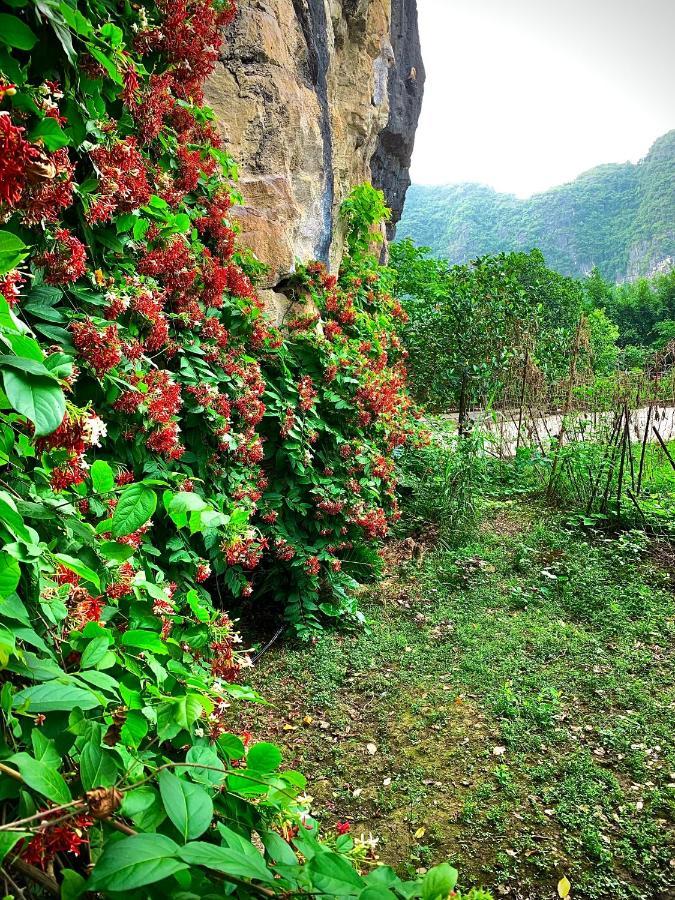 Trang An Valley Bungalow Ninh Binh Exterior foto